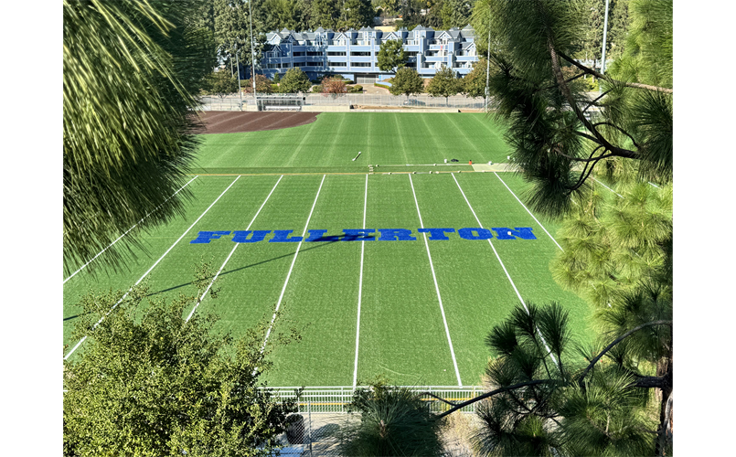 Newly Turfed Lions Field